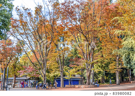 東京の都市風景 井の頭公園 東京の都市風景 井の頭公園 83980082