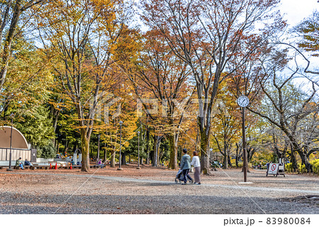 東京の都市風景　井の頭公園 83980084