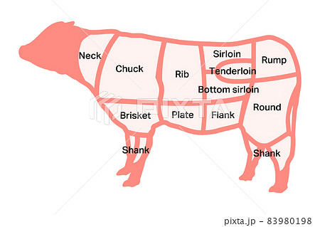 牛肉の部位のイラスト素材