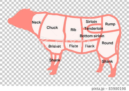 Beef part - Stock Illustration [83980198] - PIXTA