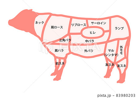 牛肉の部位 83980203