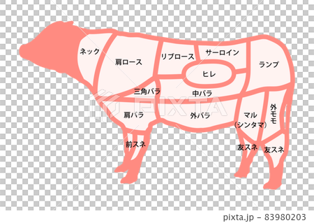 牛肉の部位 83980203