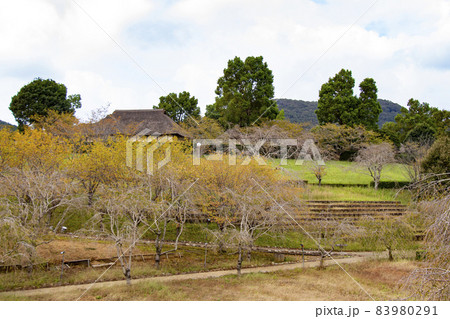 常陸風土記の丘にある会津民家 常陸風土記の丘にある会津民家 83980291