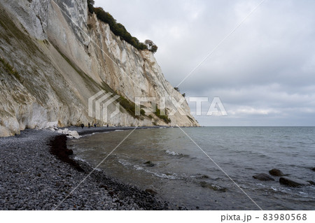 Beautiful chalk cliffs at Mons Klint in Denmark 83980568