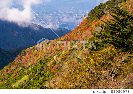 岐阜県と長野県の県境 神坂峠付近からの紅葉の山 岐阜県と長野県の県境 神坂峠付近からの紅葉の山 83980973