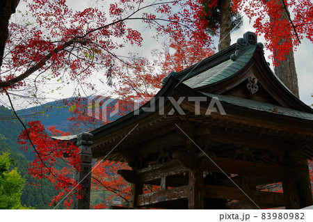 定福寺の紅葉 83980982