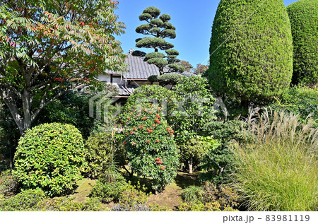 池上散歩：照栄院 久遠林　日蓮宗 83981119