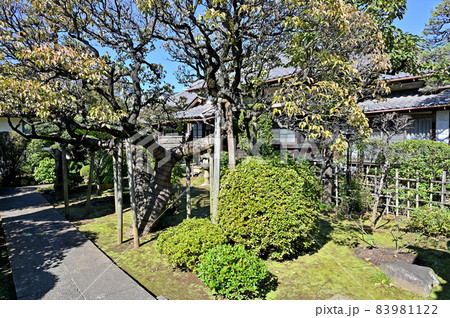 池上散歩:照栄院 久遠林 日蓮宗 池上散歩:照栄院 久遠林 日蓮宗 83981122