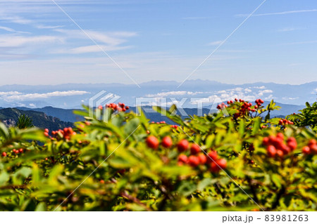 白山の初秋の風景 白山の初秋の風景 83981263