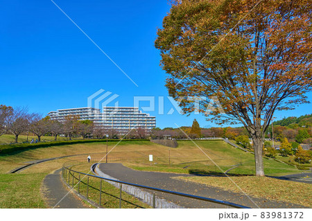 秋の東京都稲城市若葉台1丁目の若葉台公園付近から北西側の眺望 83981372