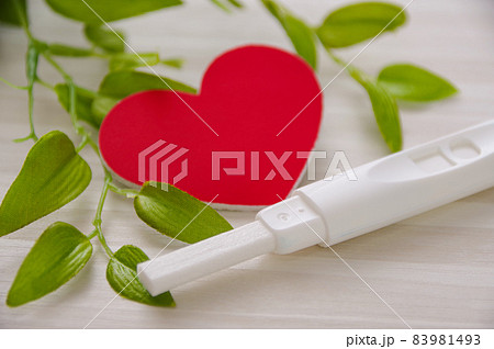 妊娠検査薬 妊娠検査薬 83981493