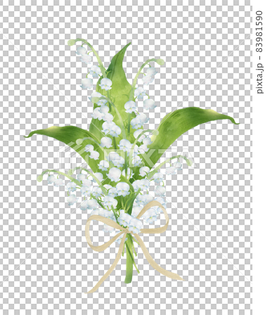スズランの花のブーケ　水彩イラスト 83981590