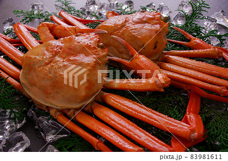 ズワイガニ 83981611