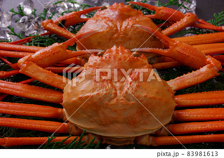 ズワイガニ 83981613