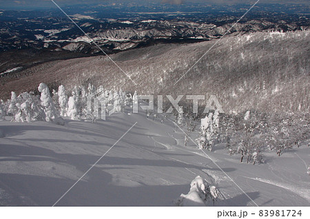 雪山山頂よりスキーダウンヒルコース 雪山山頂よりスキーダウンヒルコース 83981724