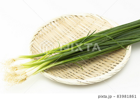 小葱 白バック 小葱 白バック 83981861