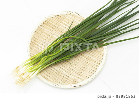 小葱 白バック 小葱 白バック 83981863