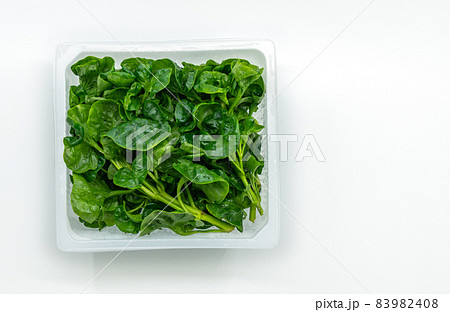 Organic fresh watercress or yellowcress in a square plastic box on white background, top view image, isolated on white background. 83982408