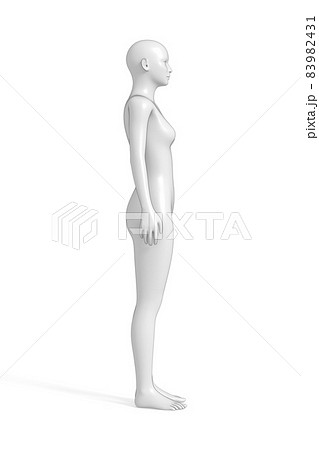 女性の体, ボディ, 3D 83982431