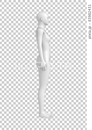 女性の体, ボディ, 3D 83982431