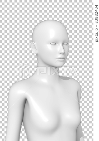 Female body, body, 3d Female body, body, 3d 83982434