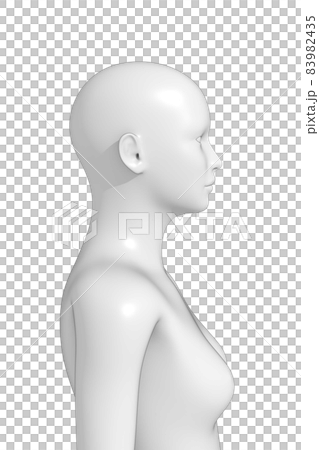 Female body, body, 3d Female body, body, 3d 83982435