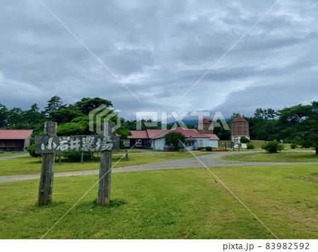 小岩井農場 83982592