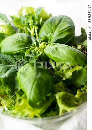 洗わずそのまま食べられる植物工場産のサラダ野菜 83983110