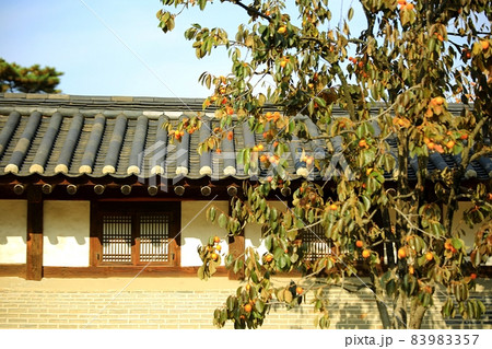 モノクロ スポット 建物 83983357