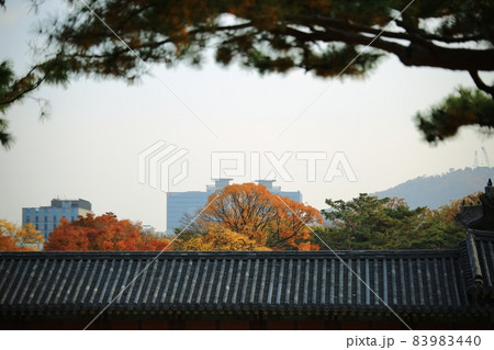 モノクロ スポット 建物 83983440