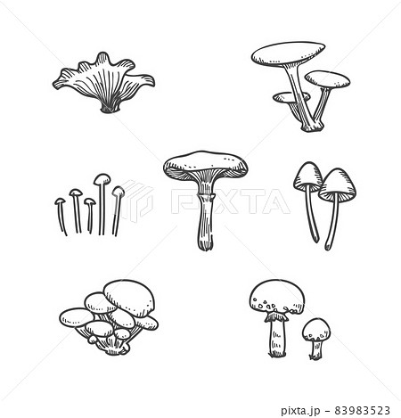 きのこのモノクロイラストのイラスト素材 9523