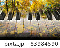 art photo double exposure with piano keys and autumn maple leaves 83984590