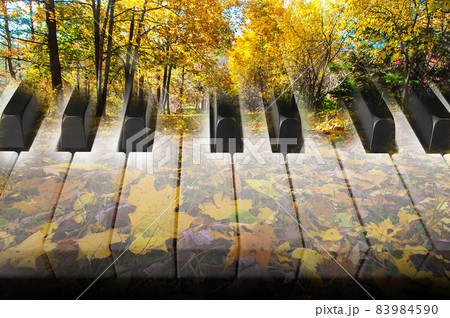 art photo double exposure with piano keys and autumn maple leaves 83984590