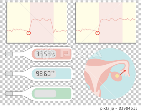 Basal thermometer and basal body temperature graph 83984613