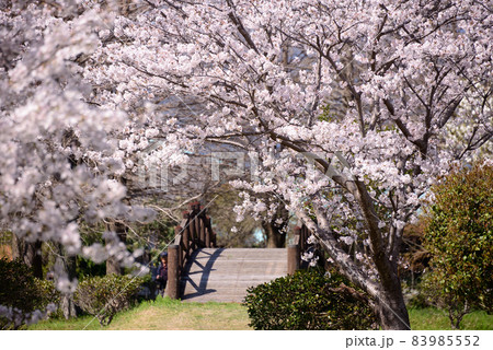 横武クリーク公園の桜風景 83985552