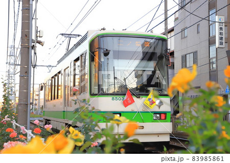 都電荒川線　 荒川車庫前から荒川遊園地前付近にて 83985861
