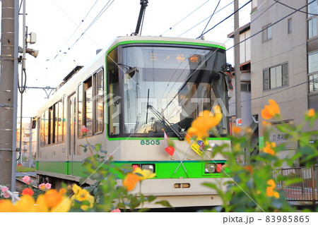 都電荒川線　 荒川車庫前から荒川遊園地前付近にて 83985865