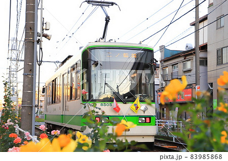都電荒川線　 荒川車庫前から荒川遊園地前付近にて 83985868
