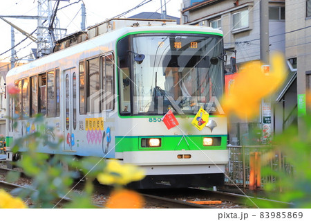 都電荒川線　 荒川車庫前から荒川遊園地前付近にて 83985869