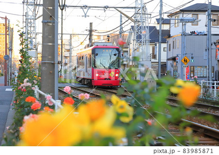 都電荒川線　 荒川車庫前から荒川遊園地前付近にて 83985871
