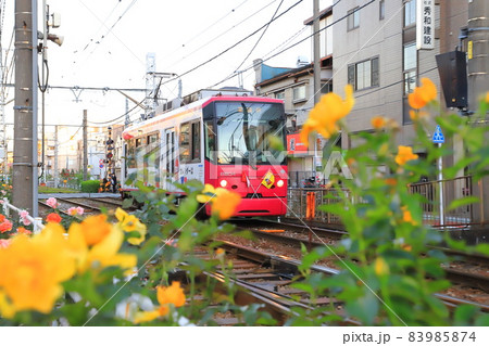 都電荒川線　 荒川車庫前から荒川遊園地前付近にて 83985874