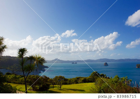 Cathedral Cove in New Zealand・カセドラル洞窟  83986715