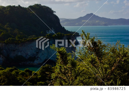 Cathedral Cove in New Zealand・カセドラル洞窟  83986725