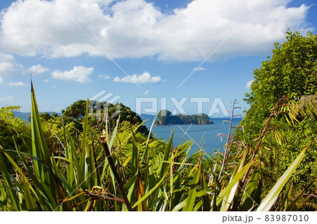Cathedral Cove in New Zealand・カセドラル洞窟  83987010