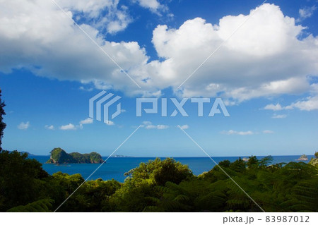 Cathedral Cove in New Zealand・カセドラル洞窟  83987012