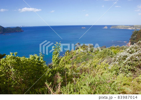 Cathedral Cove in New Zealand・カセドラル洞窟  83987014