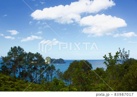 Cathedral Cove in New Zealand・カセドラル洞窟  83987017
