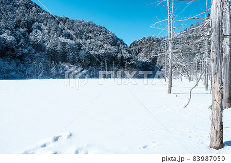 王滝村自然湖の風景(冬) 王滝村自然湖の風景(冬) 83987050