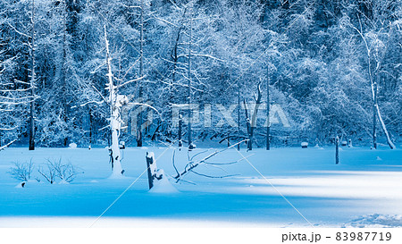 王滝村自然湖の風景（冬） 83987719