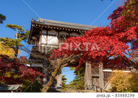 千秋公園の紅葉 83988299